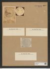 Coscinodiscus splendidus Grev. (de-Toni-Nr.: Genus 202, Species 4889) Zeichnungen Sammlung Grunow Nr. 8649 (NHMW-BOT-W0378051)